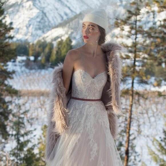 Willowby by Waters Geranium Wedding Dress - size 4, blush lining - Picture 1 of 10